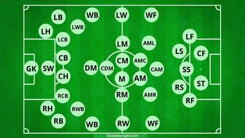 Định nghĩa SS là vị trí nào trong sơ đồ chiến thuật bóng đá Định nghĩa SS là vị trí nào trong sơ đồ chiến thuật bóng đá